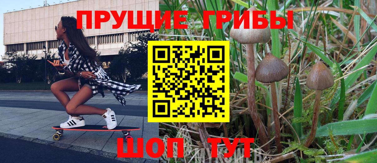 Псилоцибиновые грибы GOLDEN TEACHER Артём