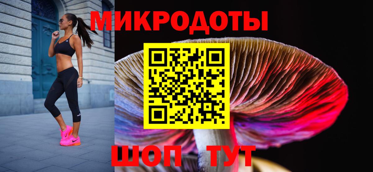 Артём  Псилоцибиновые грибы мицелий  Вход с VPN 